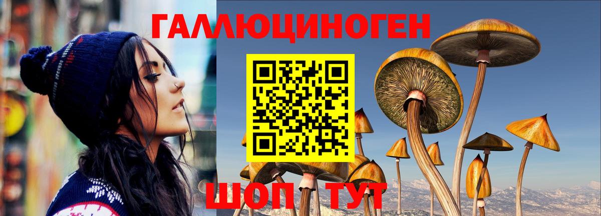 Галлюциногенные грибы ЛСД  Псилоцибиновые грибы Psilocybine cubensis  Вход с VPN  Саров 